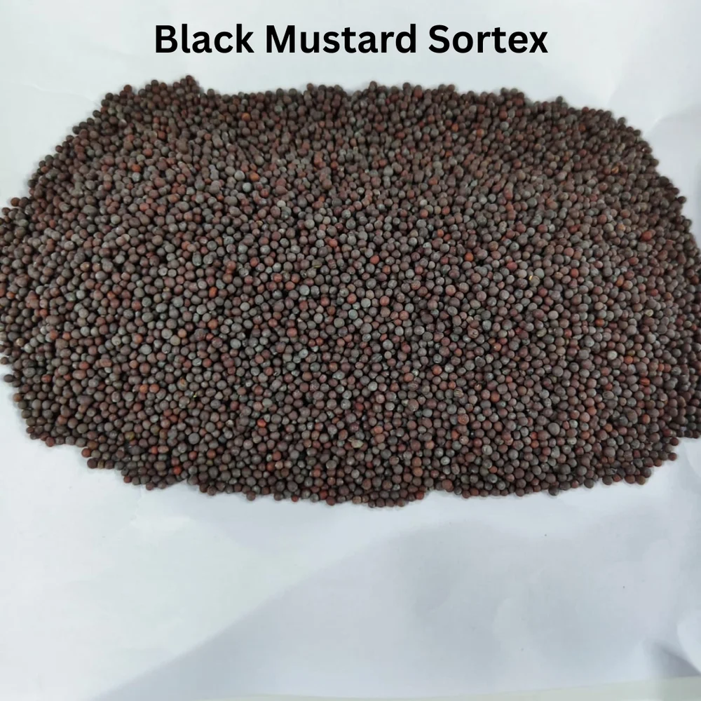 MUSTARD SEEDS